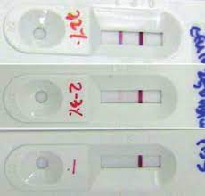 Pregnancy Test Result Weakly Positive Pregnancy Test