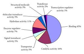 pie charts showing the gene ontology classification of