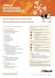 Check spelling or type a new query. Impact Of Mycotoxins On Dairy Cows Roi 2 1 1