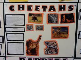 Science Project Animals Grade 2 Grade 2 Science Science Projects Science
