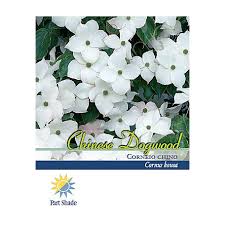 Many flowers are fragile, and easily bruised, broken or otherwise damaged during transportation. Plants Flowers At Tractor Supply Co