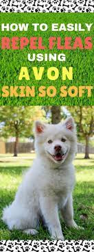 81 Uses for Avon Skin So Soft - My Little Me