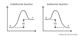 chm1 20 connection between ecell delta g and k collection