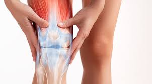 We did not find results for: Penyakit Bursitis Gejala Penyebab Dan Cara Mengobati Halodoc Com