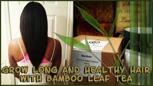 Collagen as we know is an important protein in our body. Grow Long And Healthy Hair With Bamboo Leaf Tea Youtube