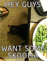 Pin By Snowmoon On Fanstuff Skyrim Funny Cats Skyrim