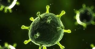 Data tahun 1993 juga ditampilkan sebagai perbandingan. 10 Tingkatan Organisasi Kehidupan Biologi Gambar Contoh Dan Penjelasannya Lengkap Biologijk