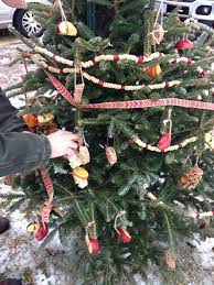 Our New Tradition A Bird Tree Imperfect Christmas Trees From A Tree L Outdoor Christmas Tree Outdoor Christmas Tree Decorations Outdoor Christmas Decorations