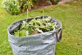 Um im garten das ansiedeln unerwünschter wildpflanzen zu verhindern,. Unkraut Im Rasen Entfernen Ubersicht Alle Methoden Tipps