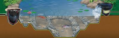 Pond ecosystems benefit your fish's health and they also help minimize your inputs and costs for maintaining your fish. Pond Ecosystem Building A Pond