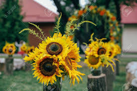 En una boda mágica y original no pueden faltar detalles de boda como estos marcasitios de madera. Arco Rustico Floral Para Ceremonia De Boda Con Girasoles Y Decoraciones De Madera Fotos Retratos Imagenes Y Fotografia De Archivo Libres De Derecho Image 97829380