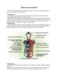 Mare si inimi circulatia a mica. Marea Si Mica Circulatie Inima Tema 11