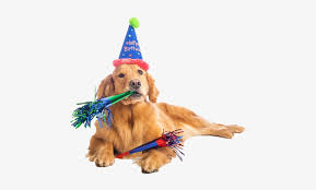Download 1920 x 1080 zoom image. Zoom Birthday Dog Transparent Png 630x420 Free Download On Nicepng