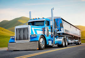 Image result for Light Blue 1996 Truck