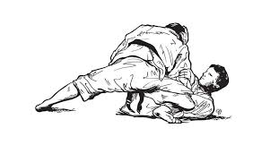 Pin By Marquel Brown On Mma Jiu Jitsu Martial Arts Brazilian Jiu Jitsu