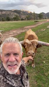 Rodgers Cattle Company Bulls