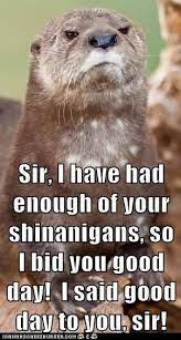 We did not find results for: I Said Good Day Sir Good Day Sir Otters Bones Funny