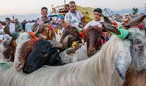 Eid al adha 2021 dates uae. Gkwkefv7xtic M