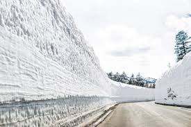 Image result for Hakkoda Walk