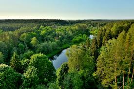 Diese reise führt sie in die hauptstädte lettlands und litauens, nach riga und vilnius. Litauen Bildergalerie Orban Foto