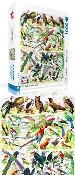 Birds Of A Feather 2019 Characters Birds Of A Feather Puzzle Together Originally From An Artfully Illustrated French Dictionary This Vintage Inspired Bird Puz Vintage Birds Bird Feathers Birds