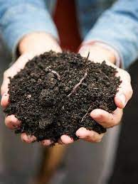 How To Make Compost Compost Top Soil Garden Compost