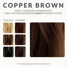 Before we start,it will likely that the outcome may turn up a bit darker than dark brown. Herbal Copper Brown Henna Hair Dye Henna Color Lab Henna Hair Dye