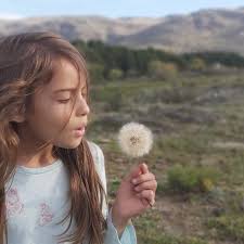 Ana Maria Vecchi (@anamariavecchi) • Instagram photos and videos