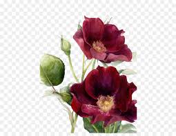 Looking for more burgundy watercolor flowers png clipart, like drawn flowers png,alice in wonderland flowers png,mexican paper flowers png. Flowers Wedding Invitation Watercolor