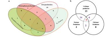 Comparing plant and animal cells venn diagram directions. A Venn Diagram Showing Plant Growth Promoting Activity Of Bacterial Download Scientific Diagram