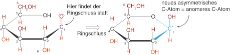 Anomère — un anomère est une configuration particulière que l on retrouve dans la chimie des sucres (formes cycliques de sucres, diastéréo isomères de hétéroside), des hémiacétals cycliques ou bien. Schullv Dein Digitales Lernverzeichnis