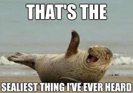 Animal Pun Memes 011 Sealist Thing Ive Heard Animal Puns Funny Puns Funny Animals