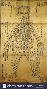 Acupuncture Chart Stock Photos Acupuncture Chart Stock