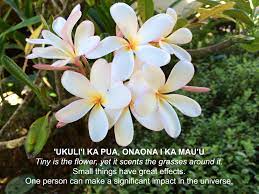 Hawaiian Quotes About Life Quotesgram Hawaiian Quotes Hawaiian Phrases Hawaii Quotes