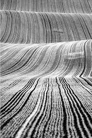 Black And White Abstract Photography By Bartek Zaborowski Meraviglioso Black And White Landscape Black And White Photography Line Photography