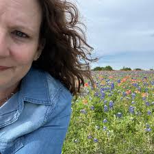 Dash cam footage of erratic driving incident