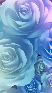 Belle Rilassante Rose Flower Wallpaper Beautiful Rose Flowers Flower Wallpaper