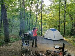 These massive swaths of land stretch in parcels extending up the spine of the appalachians roughly. George Washington National Forest Campingandhiking