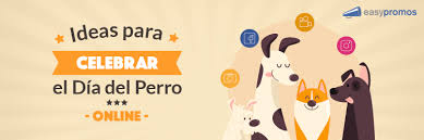 Día de san valentín perro. Ideas Para El Dia Del Perro Como Puedes Celebrarlo Con Tu Comunidad