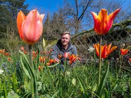 We hope you will find a course that will benefit you. Rhs National Gardening Week 2021 Campaign Calls To Take A Daily Dose Of Growing Yorkshire Post