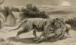 Champawat Tiger : The Story of the ...