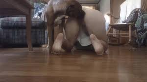 My girl Sandy does it with dog at home. Amateur zoo porn