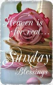  Sunday Blessings Sunday Sunday Quotes Happy Sunday Sunday Blessings Sunday Quote Happy Sunday Quotes Sunday Quotes Happy Sunday Quotes Blessed Sunday