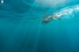 Torrent 1080p, 2k, 4k, 5k hd wallpapers free download, these wallpapers are free download for pc, laptop, iphone, android phone and ipad desktop How To Wireless Display Your Microsoft Surface 3 To A Samsung Smart Led Tv Buy Confidently Get Help Share R Desktop Images Feature Wallpaper Ios Wallpapers