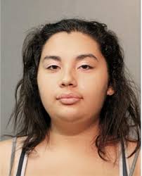 ᐅ Illinois Criminal Records 2009-2025