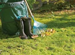 Rasenpflege Alles Zum Thema Mahen Dungen Saen Und Vertikutieren Vertikutieren