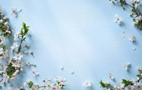 Thrift likes part to full sun. Wallpaper Flowers Spring Apple Wood Blue Blossom Flowers Spring Images For Desktop Section Cvety Download