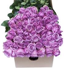 Maybe you would like to learn more about one of these? Buy Farm2door Wholesale Roses 50 Fresh Purple Roses Long Stemmed 50cm Farm Direct Wholesale Fresh Flowers In Cheap Price On Alibaba Com