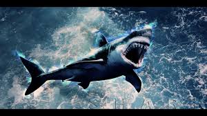 Only the best hd background pictures. Shark Wallpaper Hd By Tooyp On Deviantart