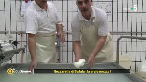Butternut Et Mozzarella